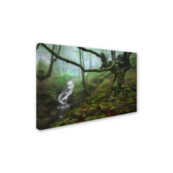 Fran Osuna 'The Enchanted Forest' Canvas Art,16x24